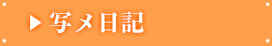 写メ日記
